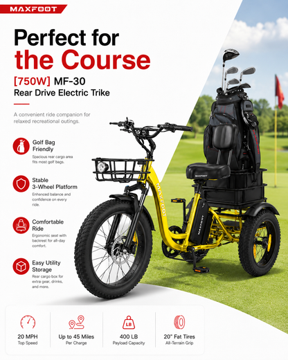 MF-30 750W Rear-Drive Fat Tire Electric Trike with Comfort Backrest & Dual Cargo Storage